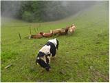 Suhi Dol - Sveti Andrej (Planina nad Horjulom)